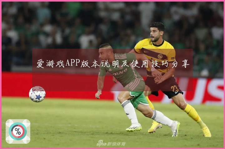 爱游戏APP版本说明及使用技巧分享