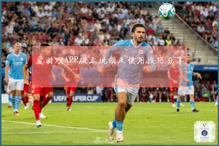 爱游戏APP版本说明及使用技巧分享
