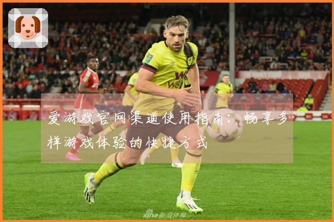 爱游戏官网渠道使用指南：畅享多样游戏体验的快捷方式