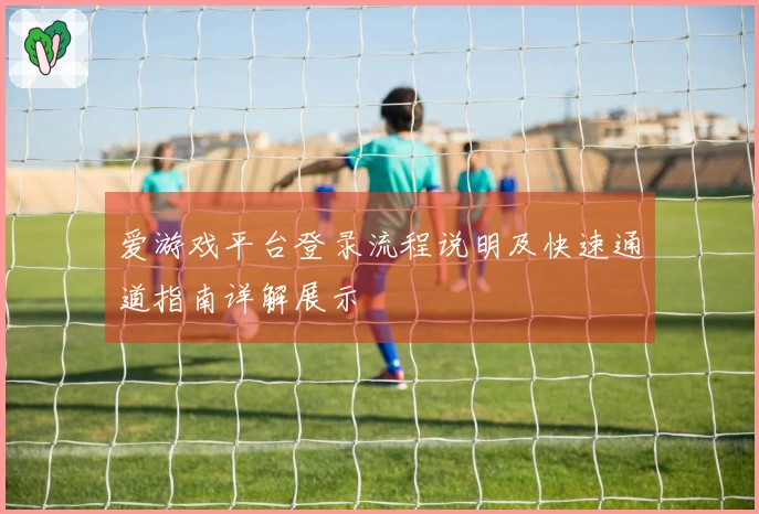 爱游戏平台登录流程说明及快速通道指南详解展示